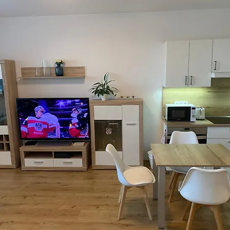 Citypark Apartment, Free Parking & Ac Apartment